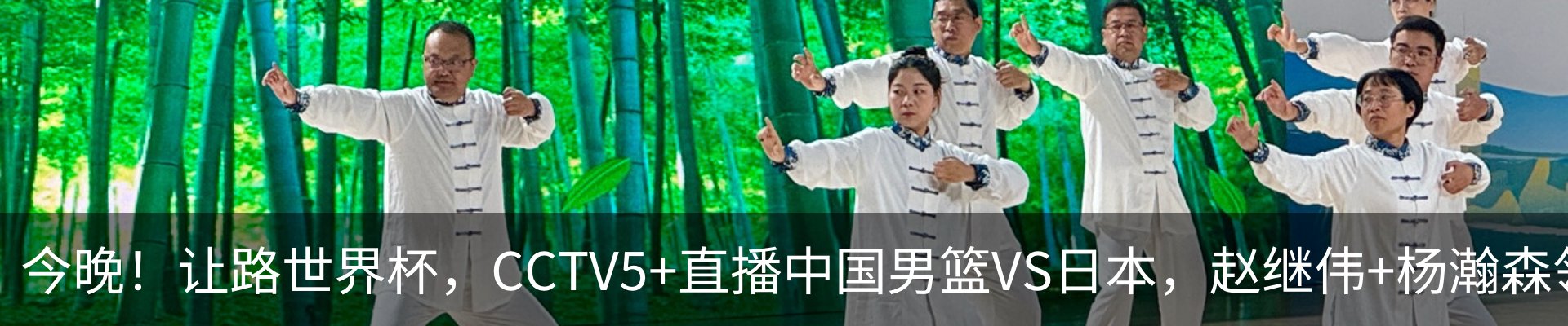 最新动态